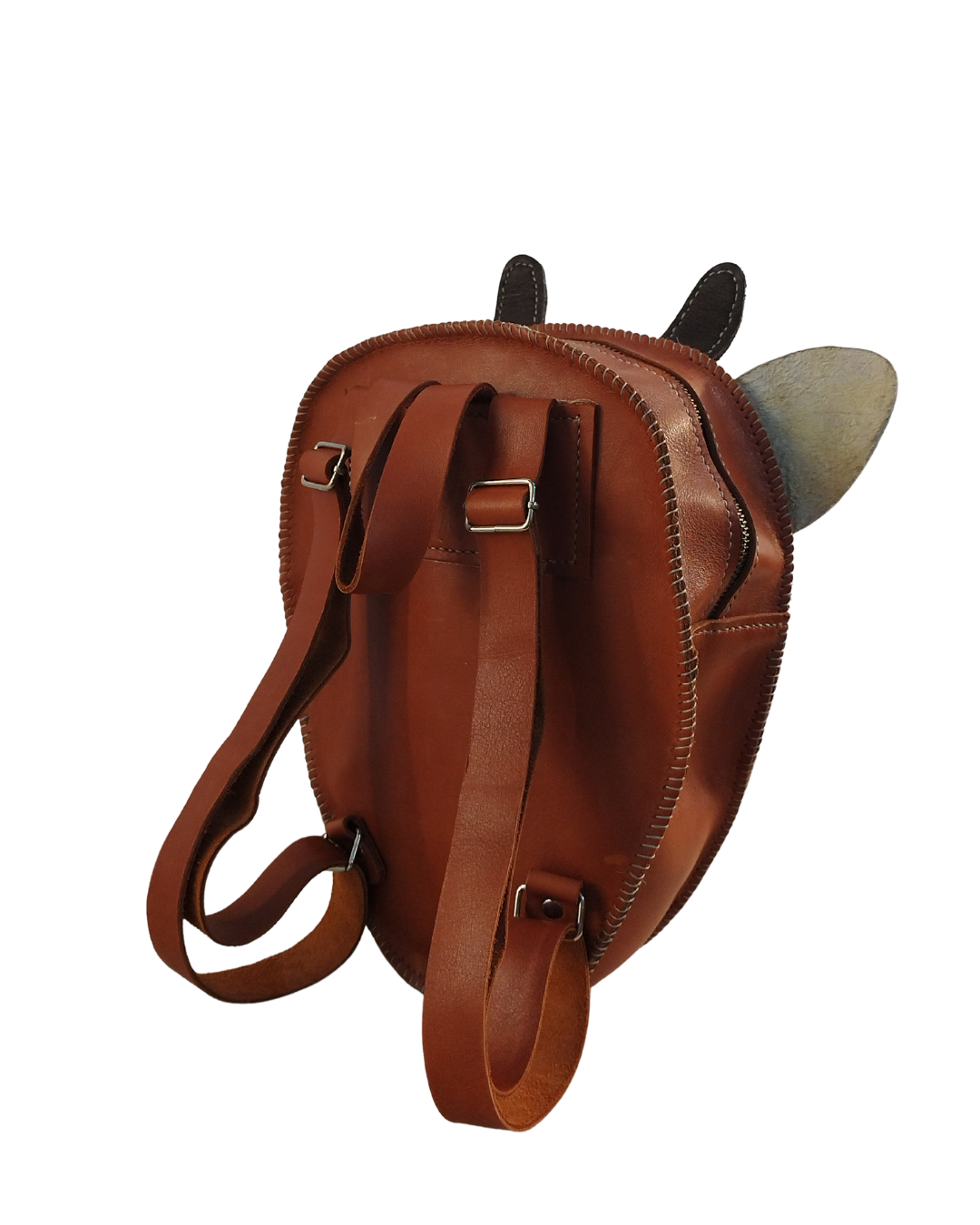 Springbok Leather Backpack